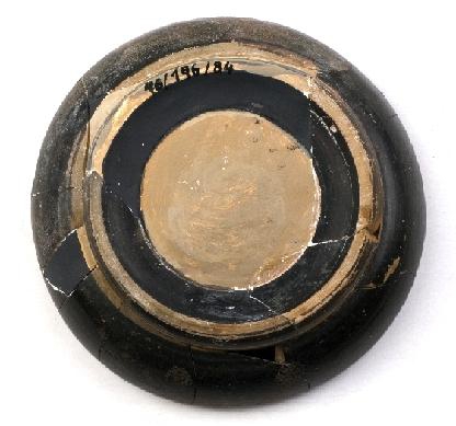 Marian Venceslá Delgado (CERES)